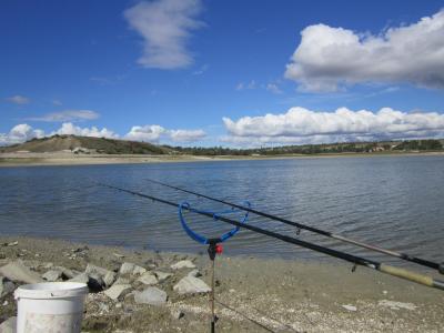 Прикрепленное изображение: IMG_0186.JPG